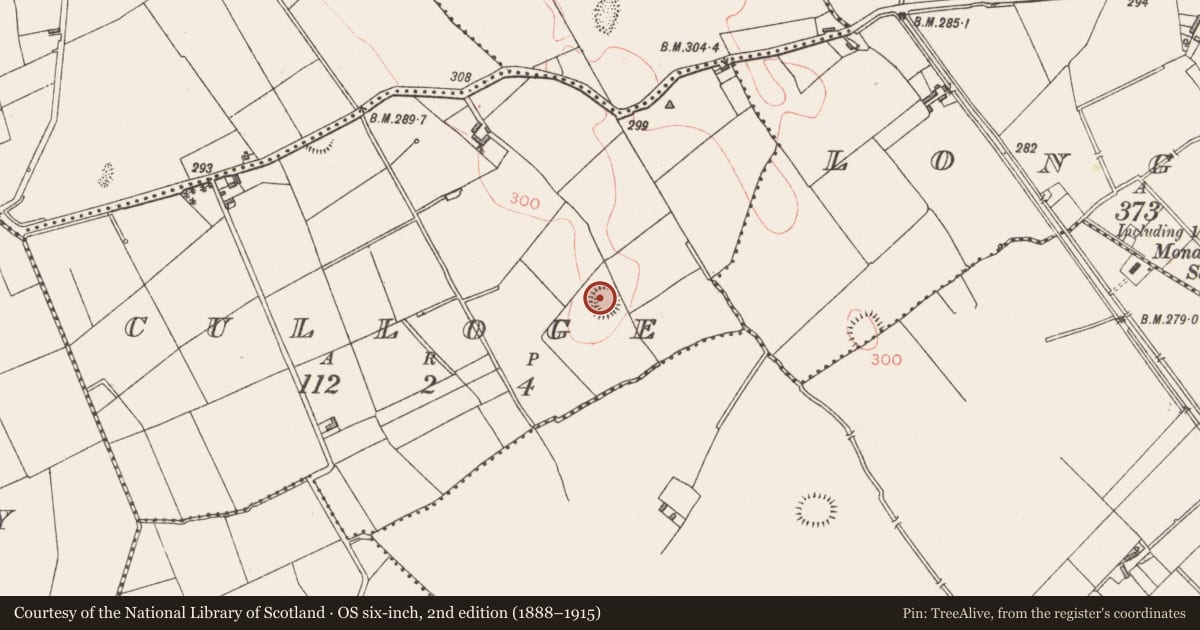 Ordnance Survey six-inch map, 2nd edition (1888–1915) covering the location of Ringfort - rath, Culloge, County Longford, with a pin at the register's coordinates