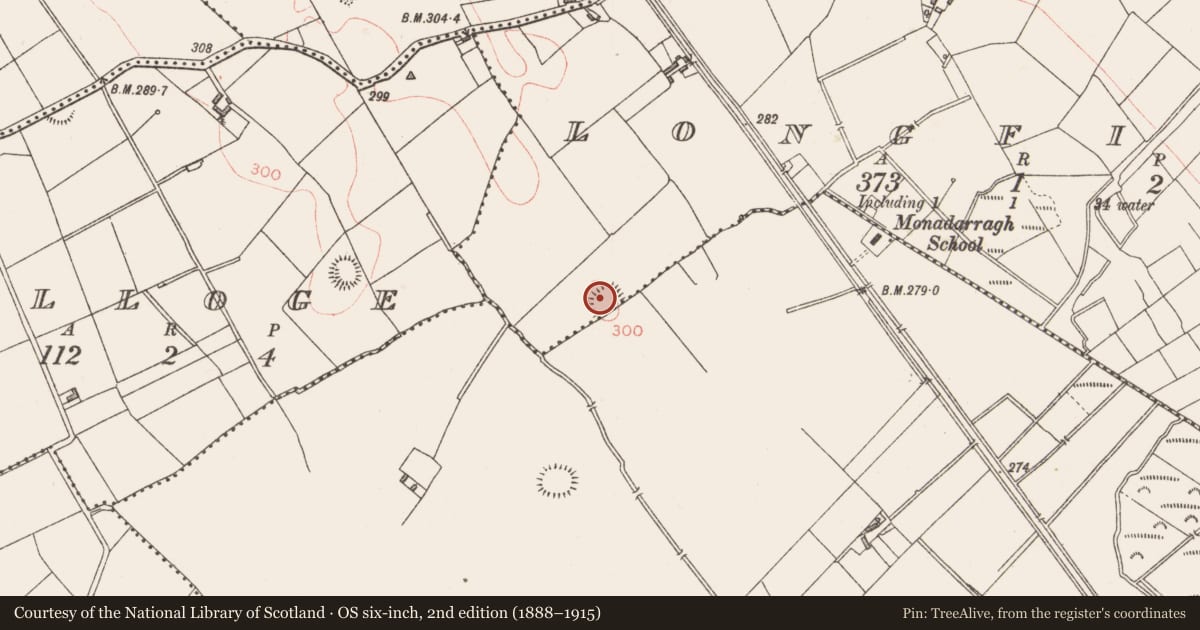 Ordnance Survey six-inch map, 2nd edition (1888–1915) covering the location of Ringfort - rath, Longfield, Monadarragh, County Longford, with a pin at the register's coordinates
