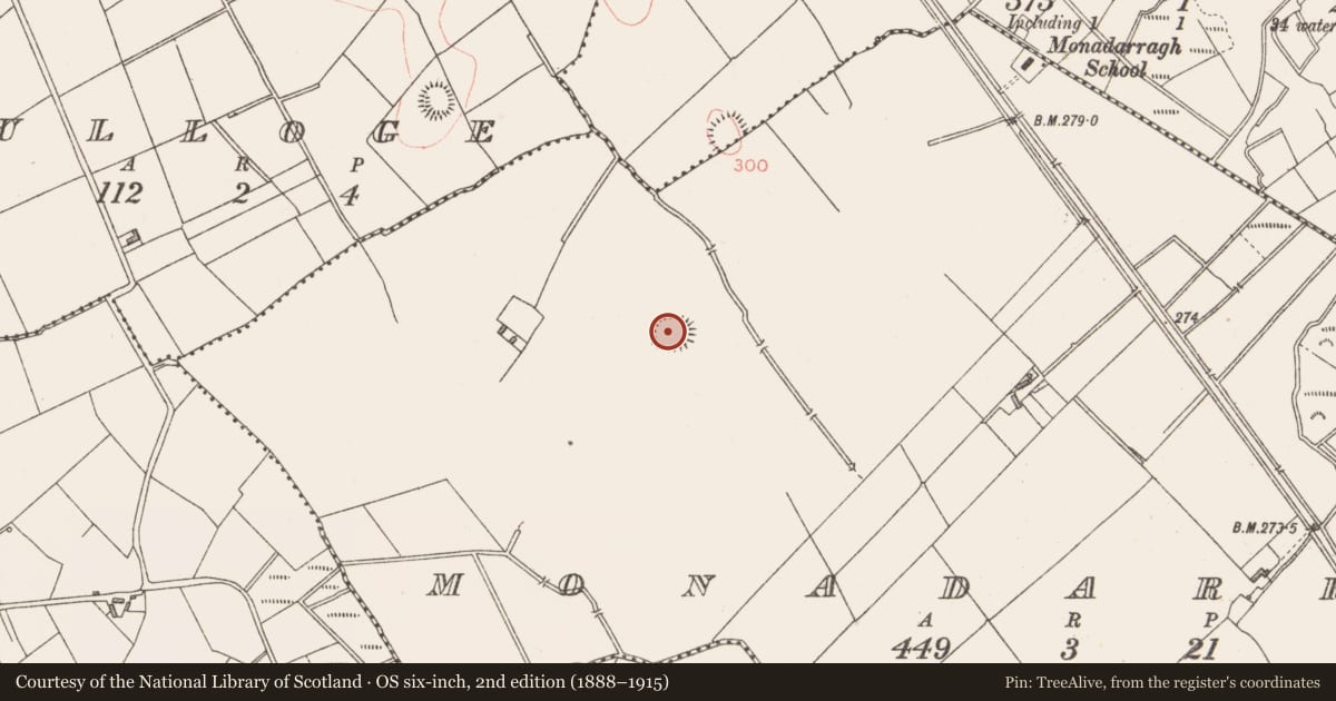 Ordnance Survey six-inch map, 2nd edition (1888–1915) covering the location of Ringfort - rath, Monadarragh, County Longford, with a pin at the register's coordinates