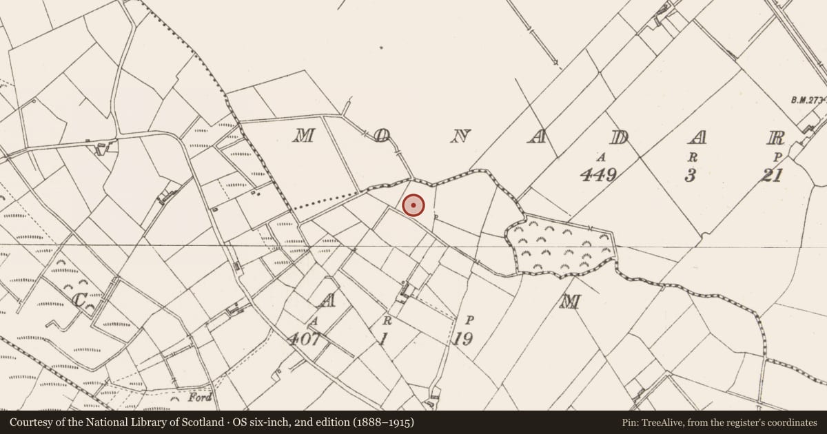 Ordnance Survey six-inch map, 2nd edition (1888–1915) covering the location of Ringfort - rath, Cam, County Longford, with a pin at the register's coordinates