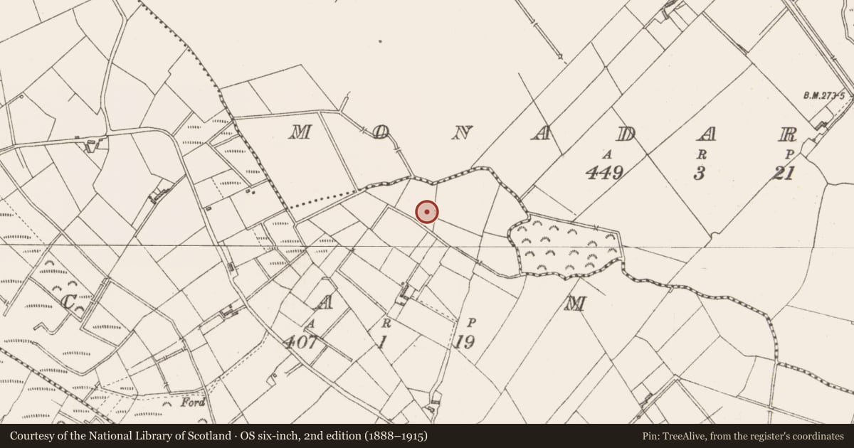 Ordnance Survey six-inch map, 2nd edition (1888–1915) covering the location of Ringfort - rath, Cam, County Longford, with a pin at the register's coordinates