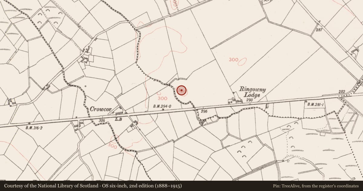 Ordnance Survey six-inch map, 2nd edition (1888–1915) covering the location of Enclosure, Ringowny, County Longford, with a pin at the register's coordinates
