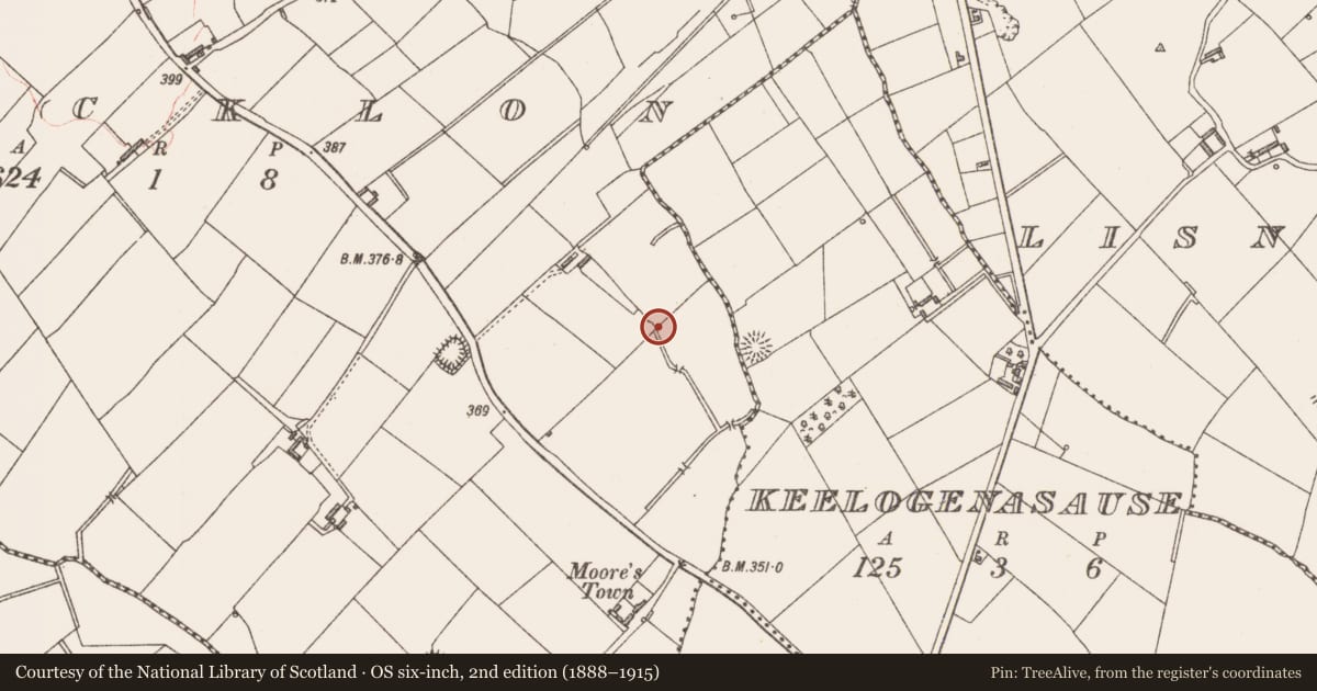 Ordnance Survey six-inch map, 2nd edition (1888–1915) covering the location of Excavation - miscellaneous, Bracklon, County Longford, with a pin at the register's coordinates