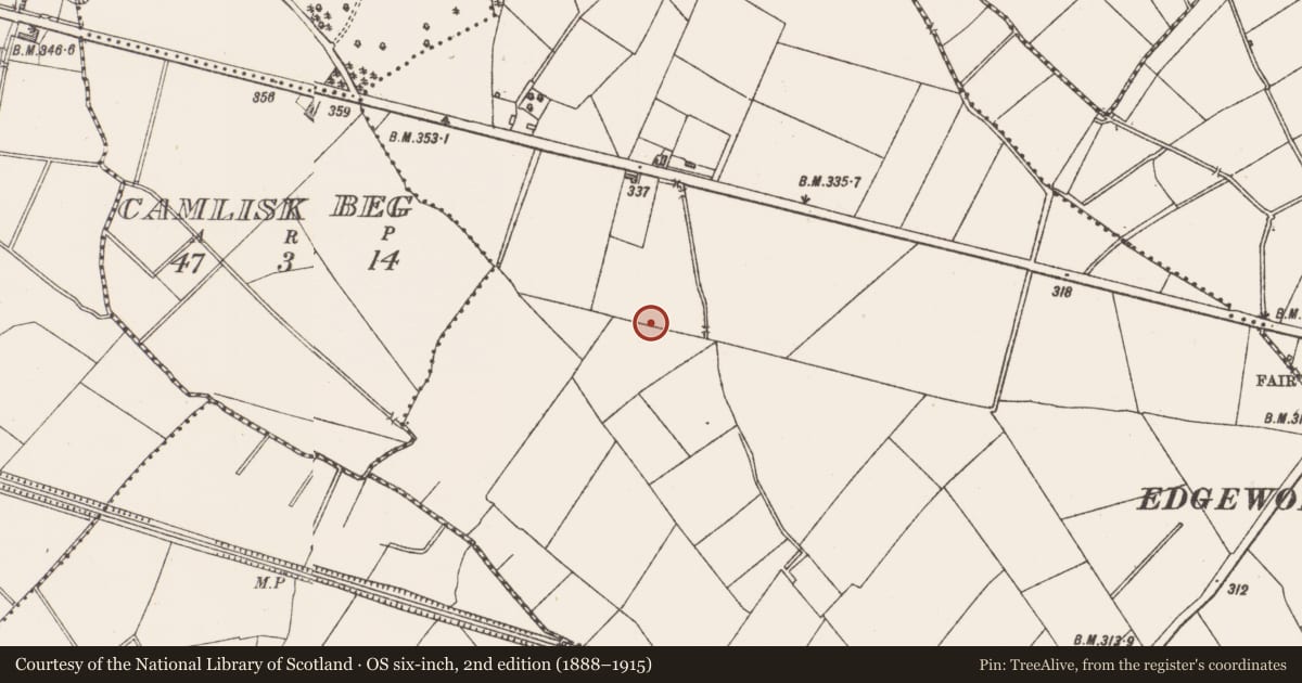 Ordnance Survey six-inch map, 2nd edition (1888–1915) covering the location of Burnt mound, Tinnynarr, County Longford, with a pin at the register's coordinates
