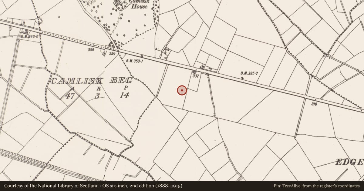 Ordnance Survey six-inch map, 2nd edition (1888–1915) covering the location of Fulacht fia, Tinnynarr, County Longford, with a pin at the register's coordinates