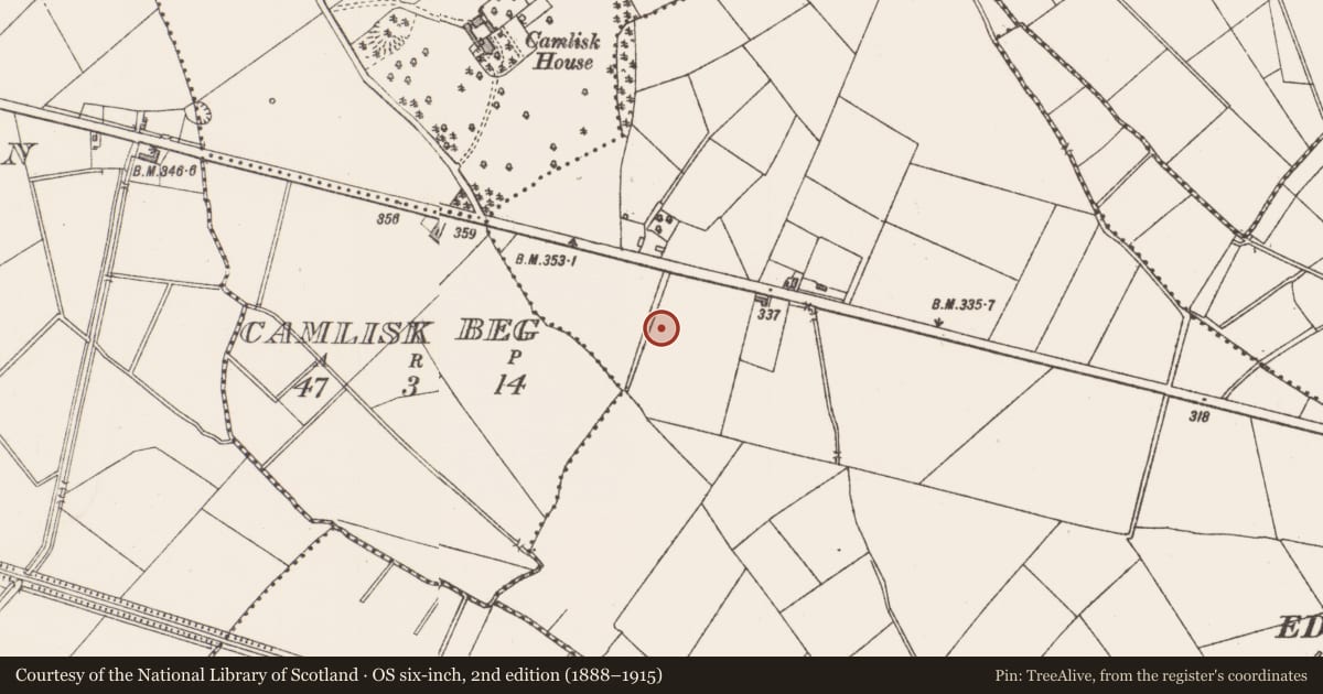 Ordnance Survey six-inch map, 2nd edition (1888–1915) covering the location of Excavation - miscellaneous, Tinnynarr, County Longford, with a pin at the register's coordinates