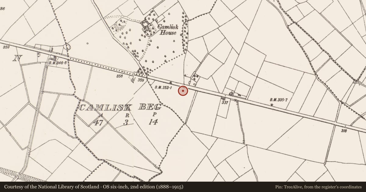 Ordnance Survey six-inch map, 2nd edition (1888–1915) covering the location of Excavation - miscellaneous, Tinnynarr, County Longford, with a pin at the register's coordinates