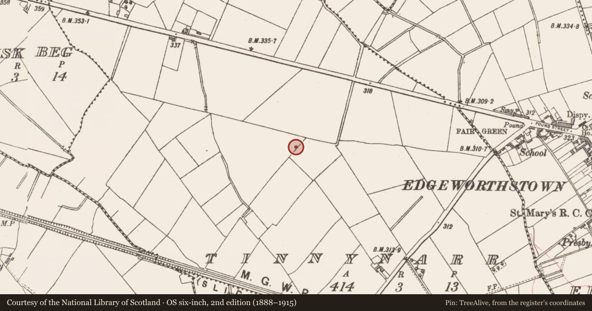 Ordnance Survey six-inch map, 2nd edition (1888–1915) covering the location of Burnt spread, Tinnynarr, County Longford, with a pin at the register's coordinates