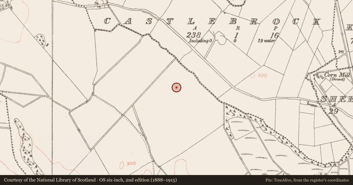Ordnance Survey six-inch map, 2nd edition (1888–1915) covering the location of Enclosure, Knockanbaun Or Whitehill, County Longford, with a pin at the register's coordinates