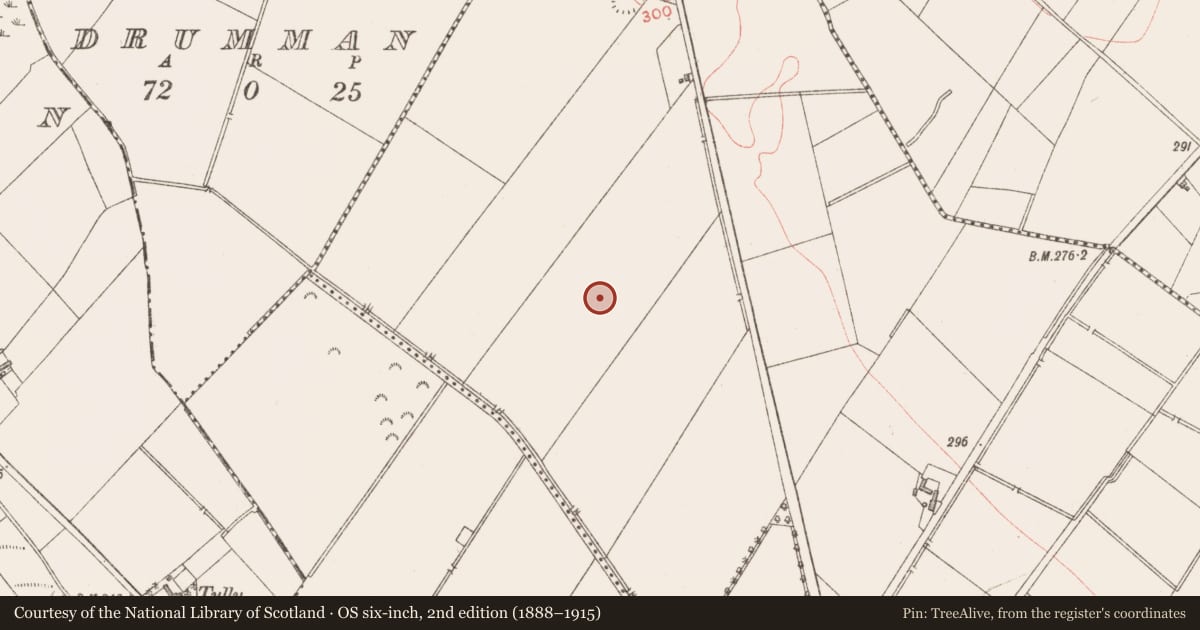 Ordnance Survey six-inch map, 2nd edition (1888–1915) covering the location of Enclosure, Lisryan, County Longford, with a pin at the register's coordinates