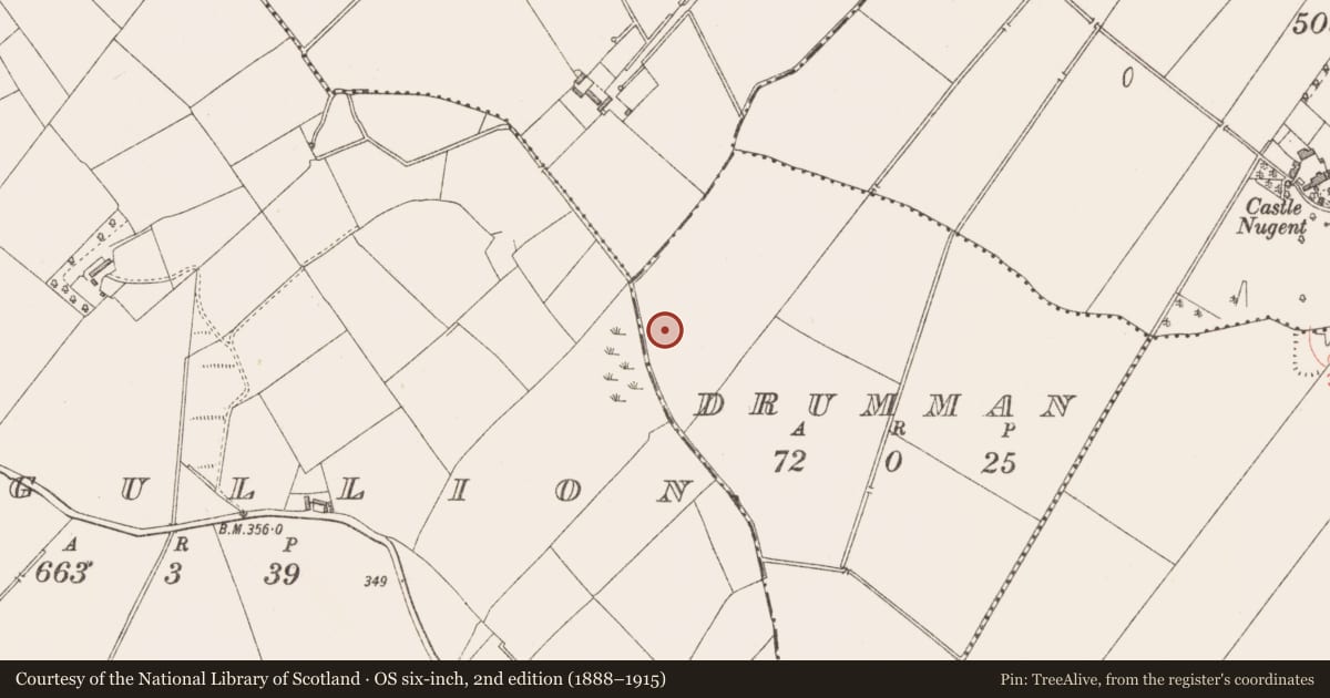 Ordnance Survey six-inch map, 2nd edition (1888–1915) covering the location of Enclosure, Drumman, County Longford, with a pin at the register's coordinates