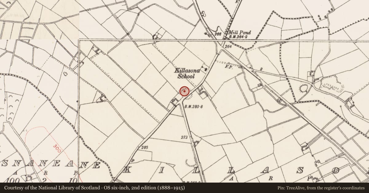 Ordnance Survey six-inch map, 2nd edition (1888–1915) covering the location of Ringfort - rath, Killasona, County Longford, with a pin at the register's coordinates