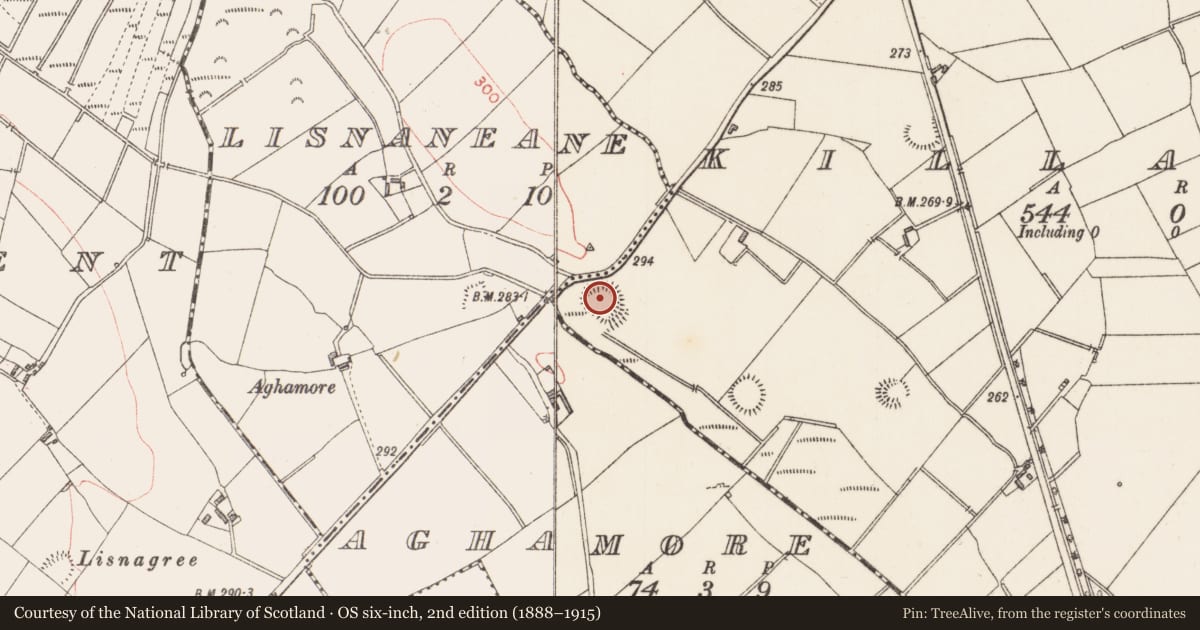 Ordnance Survey six-inch map, 2nd edition (1888–1915) covering the location of Ringfort - rath, Killasona, County Longford, with a pin at the register's coordinates