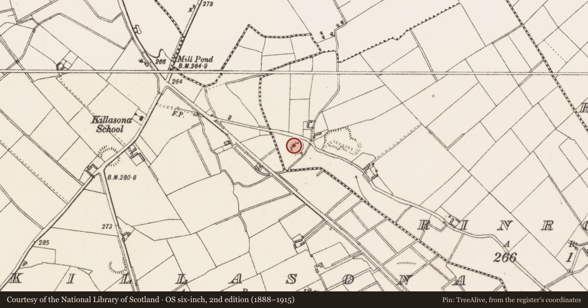 Ordnance Survey six-inch map, 2nd edition (1888–1915) covering the location of Ringfort - rath, Rinroe, County Longford, with a pin at the register's coordinates