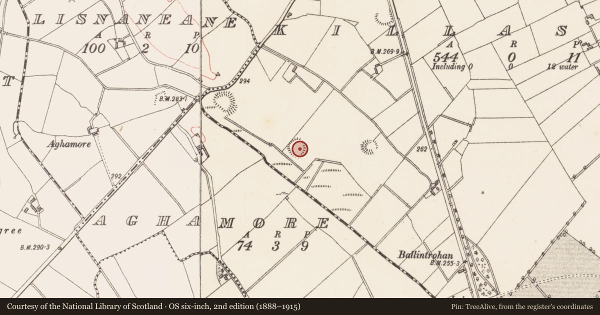 Ordnance Survey six-inch map, 2nd edition (1888–1915) covering the location of Ringfort - rath, Killasona, County Longford, with a pin at the register's coordinates