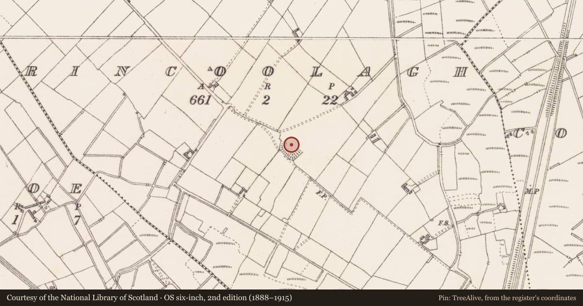 Ordnance Survey six-inch map, 2nd edition (1888–1915) covering the location of Enclosure, Rincoolagh, County Longford, with a pin at the register's coordinates