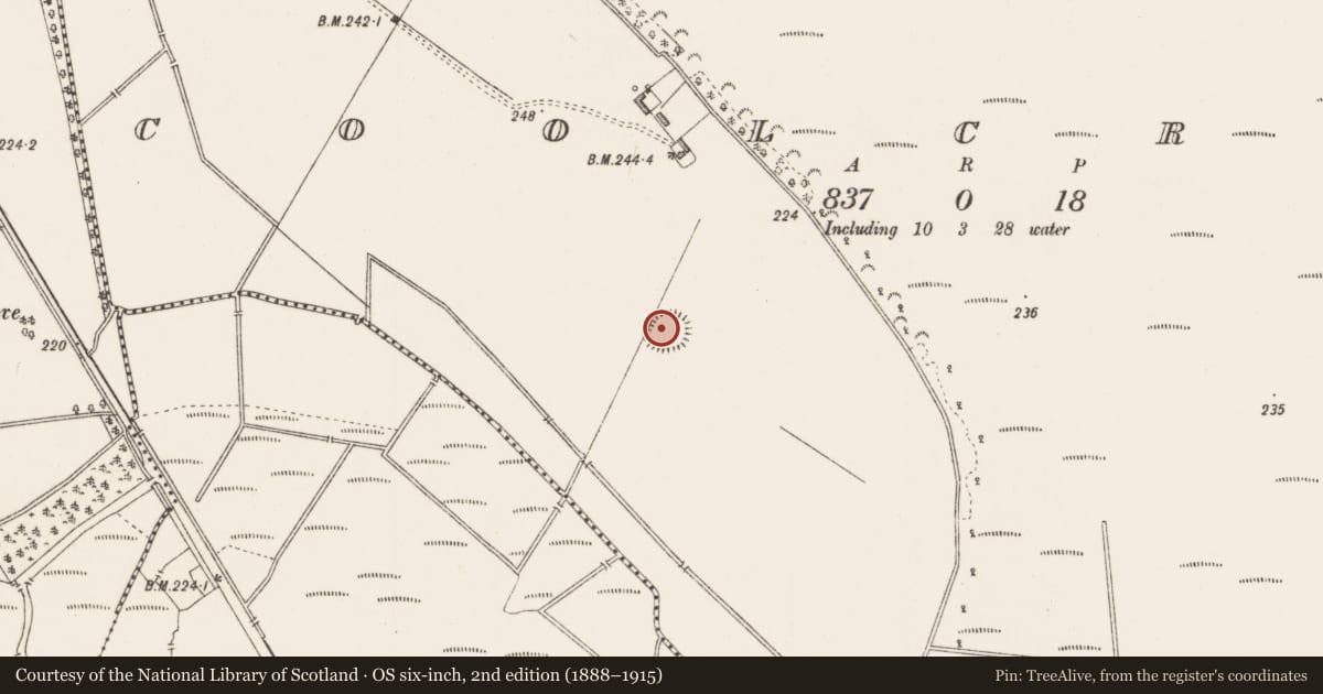 Ordnance Survey six-inch map, 2nd edition (1888–1915) covering the location of Ringfort - rath, Coolcraff, County Longford, with a pin at the register's coordinates