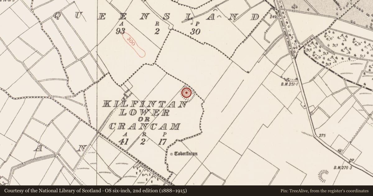 Ordnance Survey six-inch map, 2nd edition (1888–1915) covering the location of Enclosure, Kilfintan Lower Or Crancam, County Longford, with a pin at the register's coordinates