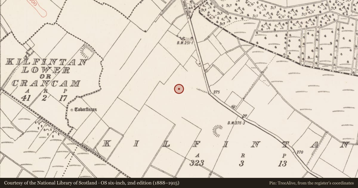 Ordnance Survey six-inch map, 2nd edition (1888–1915) covering the location of Ringfort - rath, Kilfintan, County Longford, with a pin at the register's coordinates