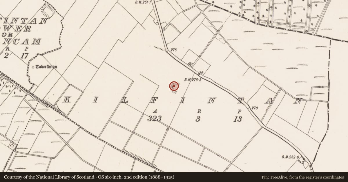 Ordnance Survey six-inch map, 2nd edition (1888–1915) covering the location of Ringfort - rath, Kilfintan, County Longford, with a pin at the register's coordinates