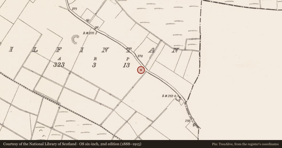 Ordnance Survey six-inch map, 2nd edition (1888–1915) covering the location of Ringfort - rath, Kilfintan, County Longford, with a pin at the register's coordinates