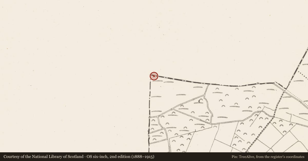 Ordnance Survey six-inch map, 2nd edition (1888–1915) covering the location of Road - class 1 togher, Rossan, County Longford, with a pin at the register's coordinates