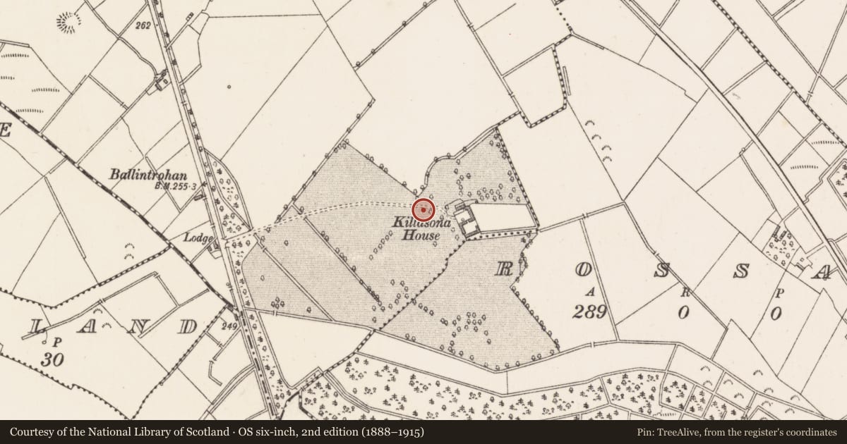 Ordnance Survey six-inch map, 2nd edition (1888–1915) covering the location of Earthwork, Killasona, County Longford, with a pin at the register's coordinates