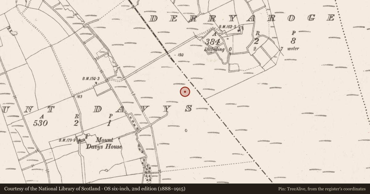Ordnance Survey six-inch map, 2nd edition (1888–1915) covering the location of Road - gravel/stone trackway - peatland, Derryaroge, Mount Davys, County Longford, with a pin at the register's coordinates