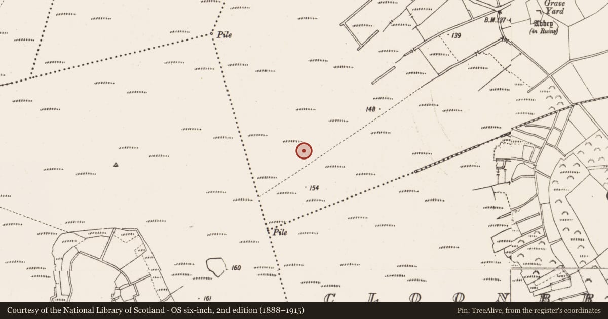 Ordnance Survey six-inch map, 2nd edition (1888–1915) covering the location of Road - gravel/stone trackway - peatland, Ballynakill, County Longford, with a pin at the register's coordinates