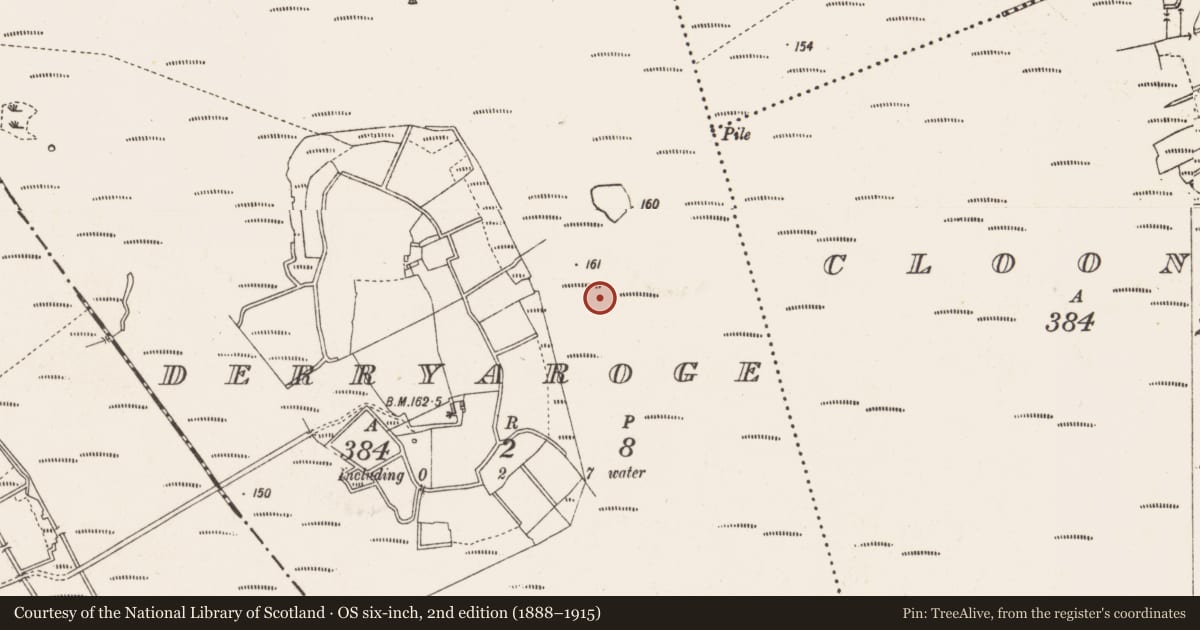 Ordnance Survey six-inch map, 2nd edition (1888–1915) covering the location of Road - class 2 togher, Derryaroge, County Longford, with a pin at the register's coordinates