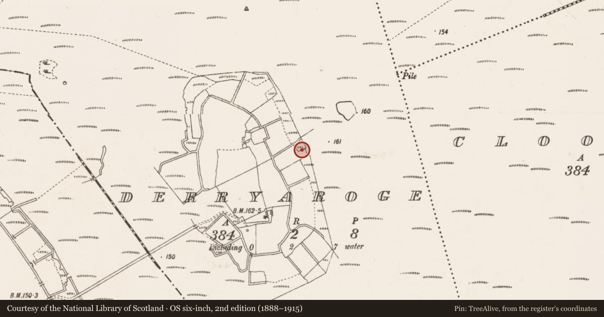 Ordnance Survey six-inch map, 2nd edition (1888–1915) covering the location of Road - class 3 togher, Derryaroge, County Longford, with a pin at the register's coordinates