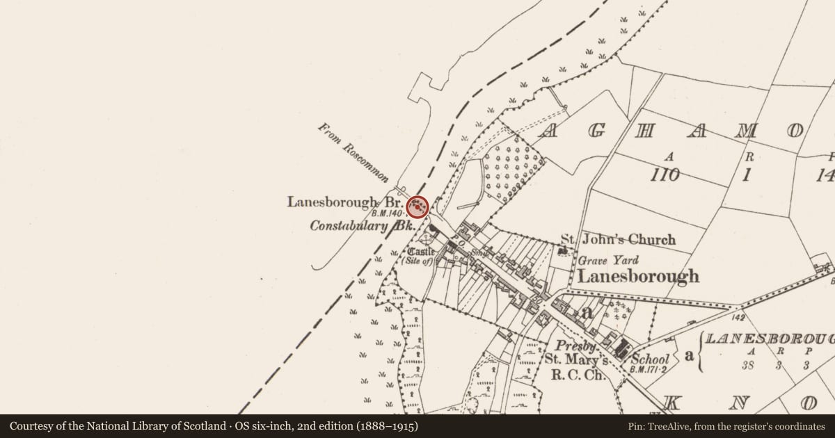 Ordnance Survey six-inch map, 2nd edition (1888–1915) covering the location of Bridge, Lanesborough, County Longford, with a pin at the register's coordinates