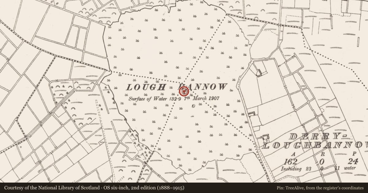 Ordnance Survey six-inch map, 2nd edition (1888–1915) covering the location of Crannog, Lehery, County Longford, with a pin at the register's coordinates