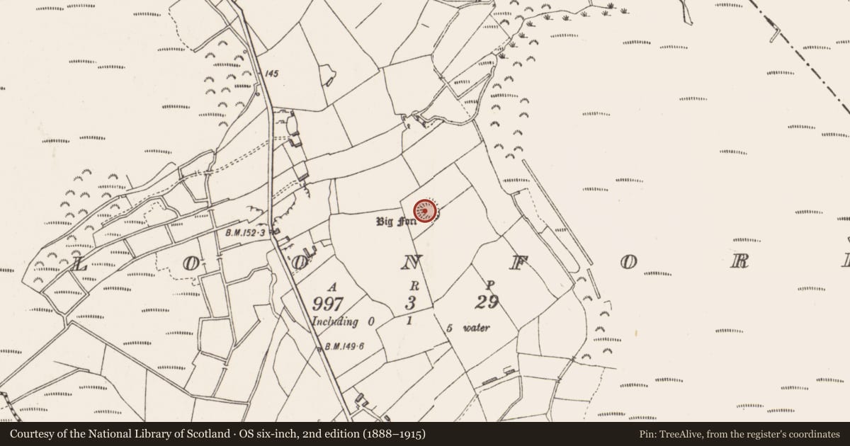 Ordnance Survey six-inch map, 2nd edition (1888–1915) covering the location of Ringfort - rath, Cloonfore, County Longford, with a pin at the register's coordinates