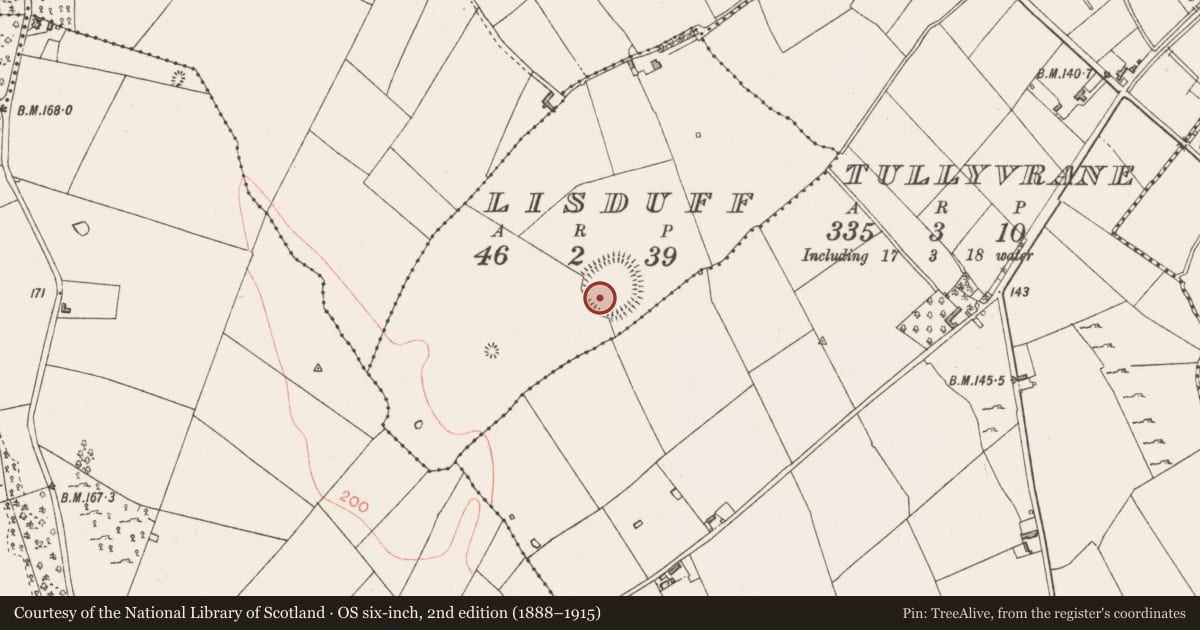 Ordnance Survey six-inch map, 2nd edition (1888–1915) covering the location of House - indeterminate date, Lisduff, County Longford, with a pin at the register's coordinates