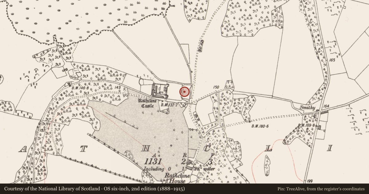 Ordnance Survey six-inch map, 2nd edition (1888–1915) covering the location of Fish-pond, Rathcline, County Longford, with a pin at the register's coordinates
