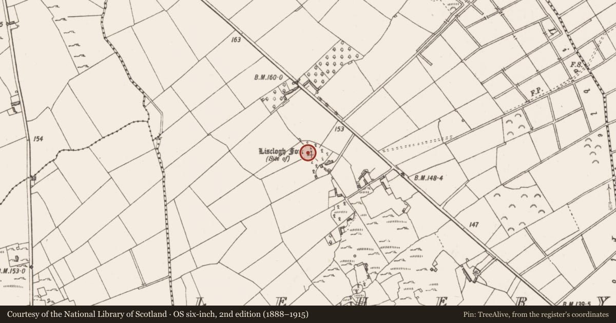 Ordnance Survey six-inch map, 2nd edition (1888–1915) covering the location of Ringfort - rath, Lehery, County Longford, with a pin at the register's coordinates