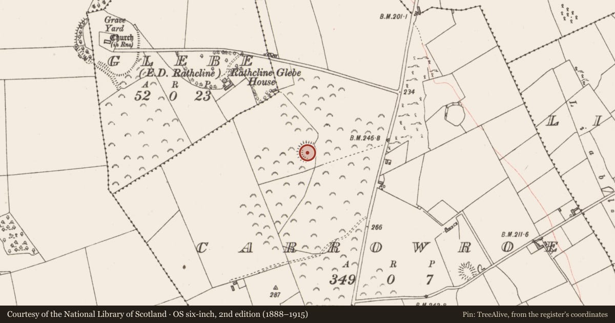 Ordnance Survey six-inch map, 2nd edition (1888–1915) covering the location of Ringfort - rath, Carrowroe, County Longford, with a pin at the register's coordinates