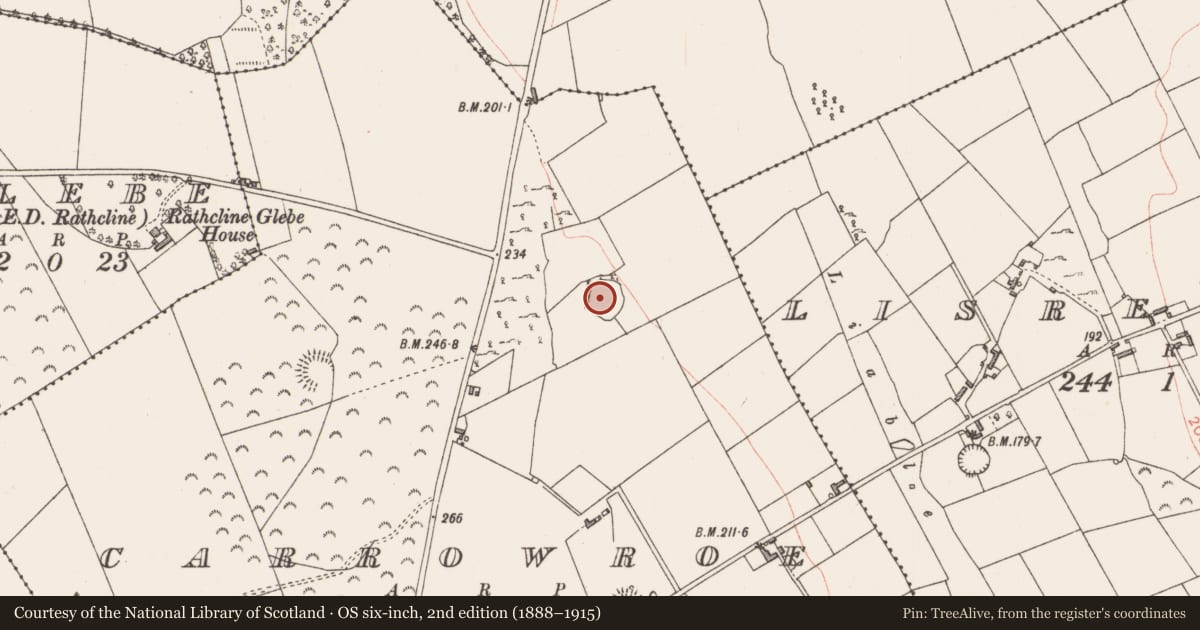 Ordnance Survey six-inch map, 2nd edition (1888–1915) covering the location of Ringfort - rath, Carrowroe, County Longford, with a pin at the register's coordinates