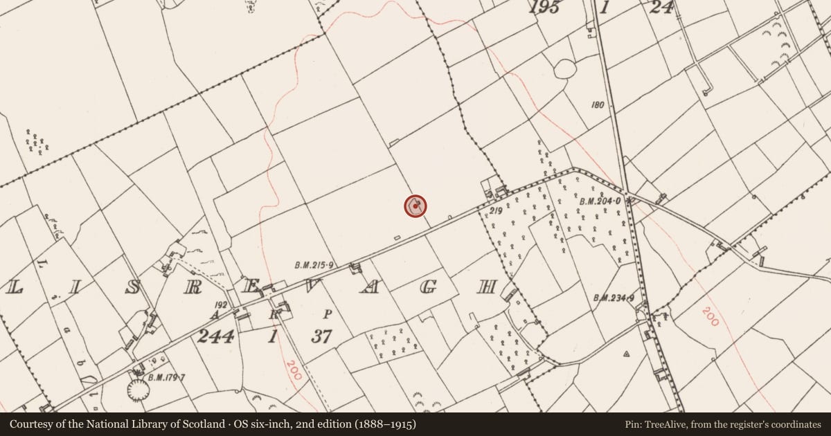 Ordnance Survey six-inch map, 2nd edition (1888–1915) covering the location of Enclosure, Lisrevagh, County Longford, with a pin at the register's coordinates