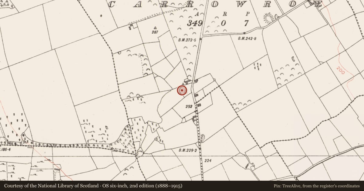 Ordnance Survey six-inch map, 2nd edition (1888–1915) covering the location of Ringfort - rath, Carrowroe, County Longford, with a pin at the register's coordinates