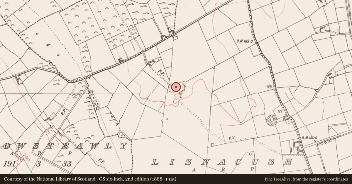 Ordnance Survey six-inch map, 2nd edition (1888–1915) covering the location of Ringfort - rath, Lisnacush, County Longford, with a pin at the register's coordinates