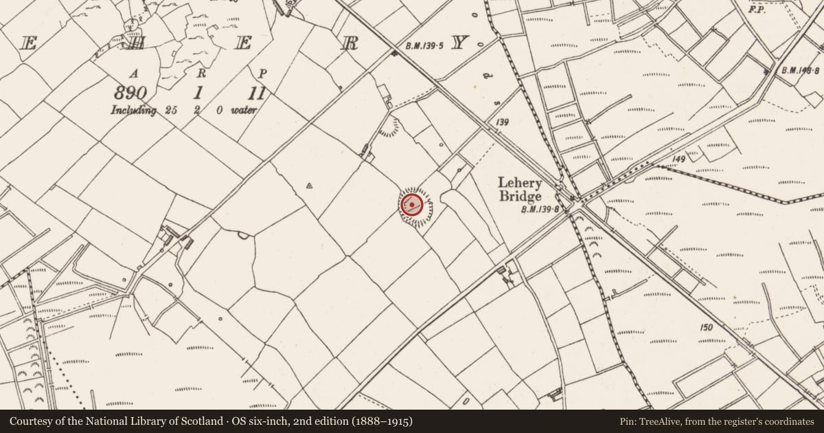 Ordnance Survey six-inch map, 2nd edition (1888–1915) covering the location of Ringfort - rath, Lehery, County Longford, with a pin at the register's coordinates