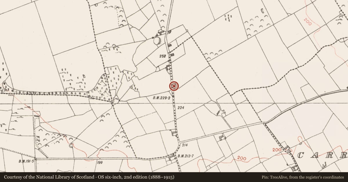 Ordnance Survey six-inch map, 2nd edition (1888–1915) covering the location of Ringfort - rath, Aghaloughan, Carrowroe, County Longford, with a pin at the register's coordinates