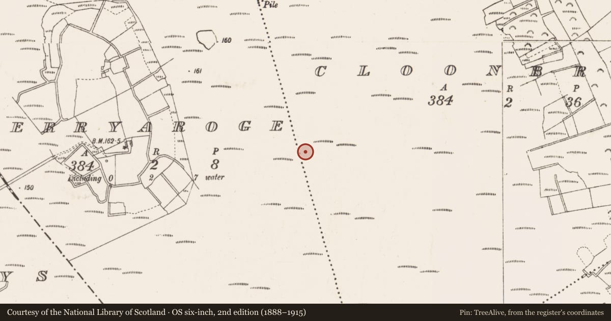 Ordnance Survey six-inch map, 2nd edition (1888–1915) covering the location of Structure - peatland, Derryaroge, County Longford, with a pin at the register's coordinates