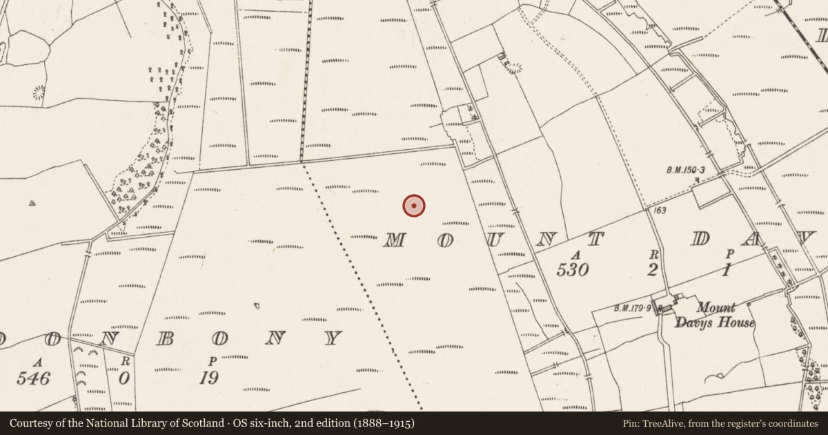Ordnance Survey six-inch map, 2nd edition (1888–1915) covering the location of Road - class 1 togher, Cloonbony, Mount Davys, County Longford, with a pin at the register's coordinates