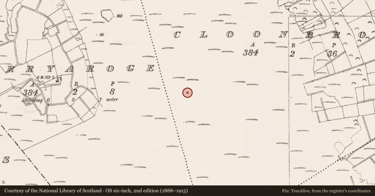 Ordnance Survey six-inch map, 2nd edition (1888–1915) covering the location of Structure - peatland, Cloonbrock, County Longford, with a pin at the register's coordinates