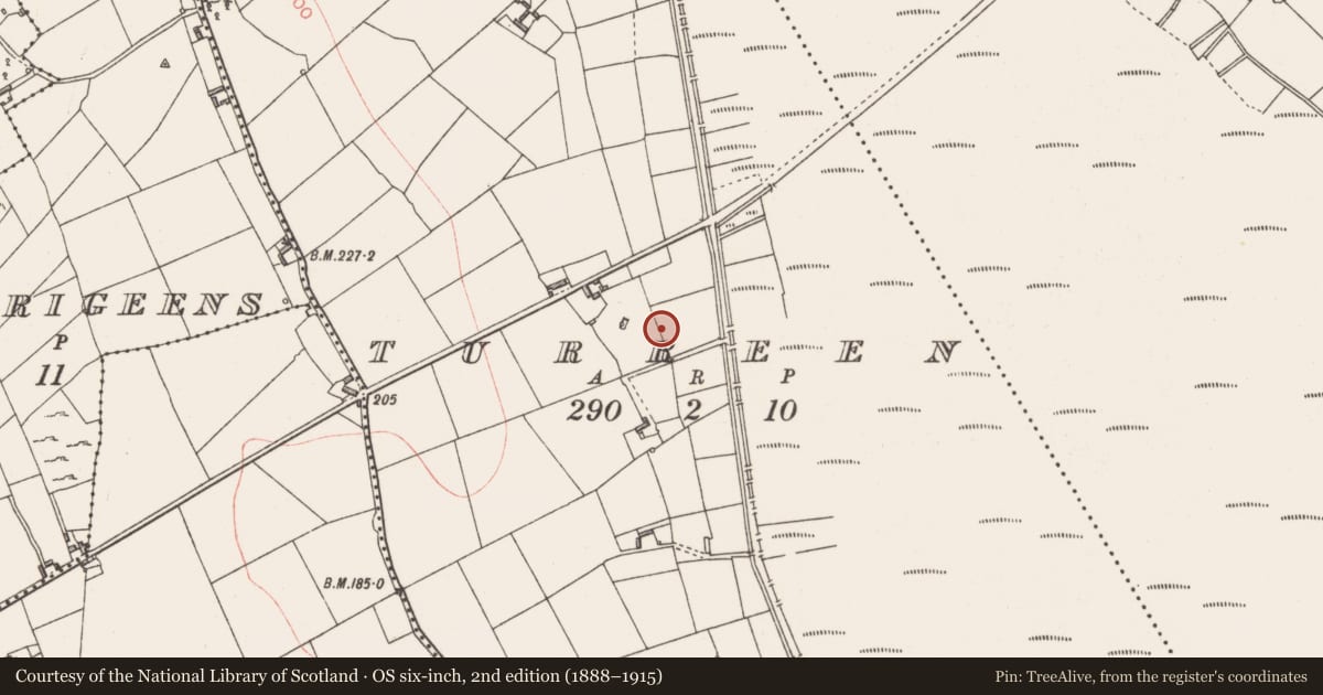 Ordnance Survey six-inch map, 2nd edition (1888–1915) covering the location of Burial mound, Turreen, County Longford, with a pin at the register's coordinates
