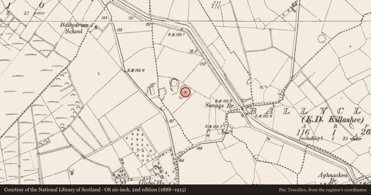Ordnance Survey six-inch map, 2nd edition (1888–1915) covering the location of Ringfort - rath, Killashee And Aghakeeran, County Longford, with a pin at the register's coordinates