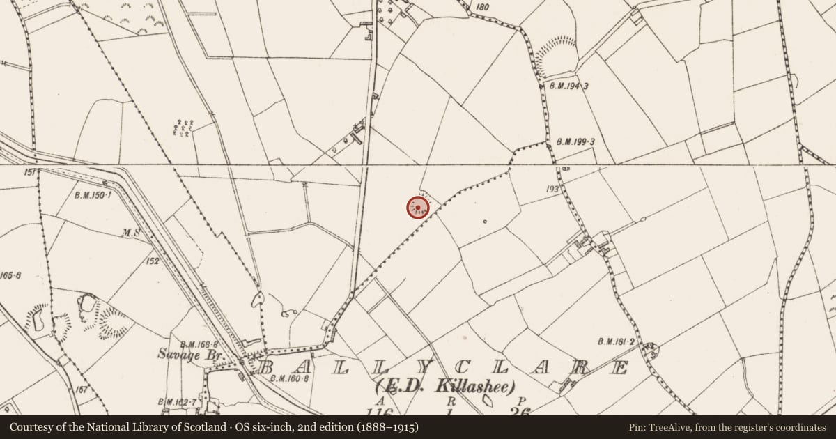 Ordnance Survey six-inch map, 2nd edition (1888–1915) covering the location of Ringfort - rath, Cloonmore, County Longford, with a pin at the register's coordinates